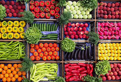 Draamilarr Logistics India Pvt Ltd